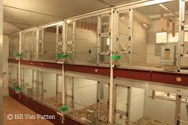breeding cage