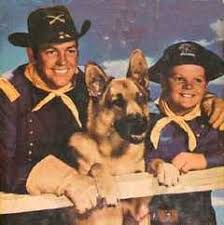 rin tin