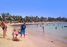 playa flamingo lanzarote