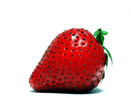 fresa
