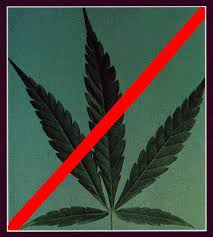 effects of marijuana