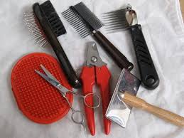 dog grooming tool