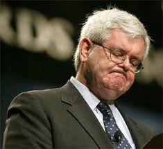 newt gingrish