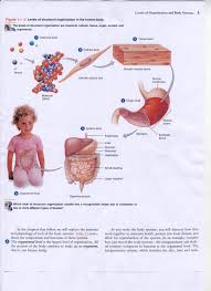 tissues and cells