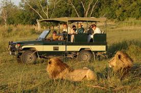 game safari
