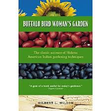 buffalo bird woman