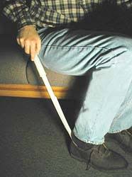 extended shoe horn