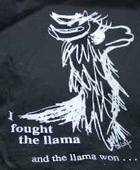 llama shirts