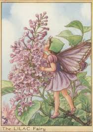 flower fairys