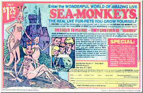 amazing live sea monkeys