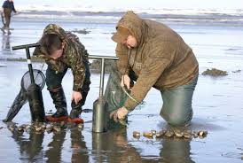 clam digging tools