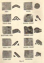 types fingerprints