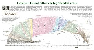 evolution poster