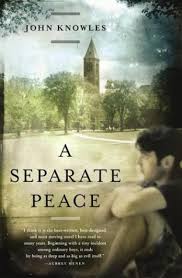 a separate peace book