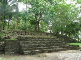 nim li punit