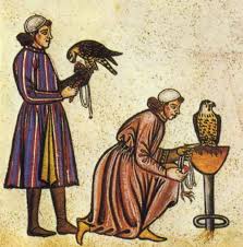 falconry history