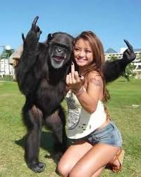 3 monkey