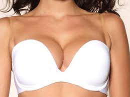 bride bra
