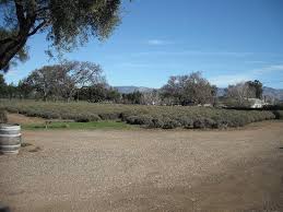 south park california