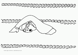 printable nc individual tax forms 2008