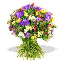 freesias
