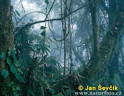 pictures of bali