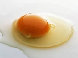 fried eggs