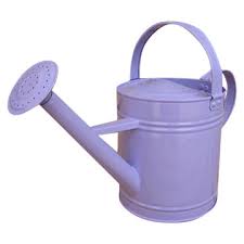watering can flower