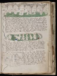 to the Voynich Manuscript,