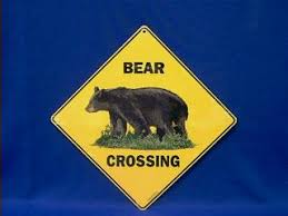 bear crossing signs