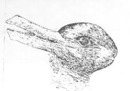 duck or rabbit