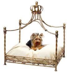 luxury dog