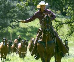 flicka the book