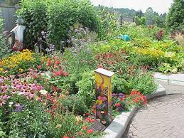 butterfly gardening