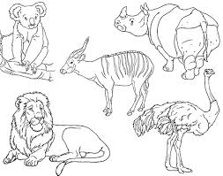 coloring books animals