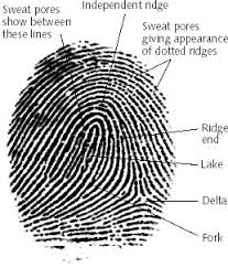 fingerprinting pad