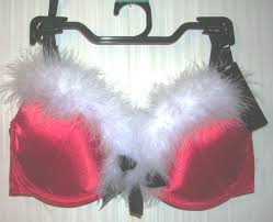 santa bra