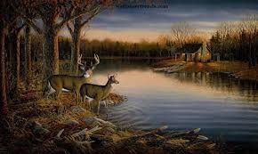wildlife murals