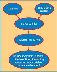 tourette syndrome