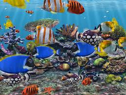 3d pictures