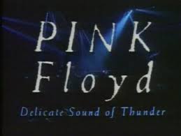 dvd delicate sound of thunder