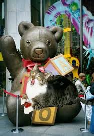 fao schwarz bear