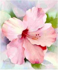 watercolor paintings flowers
