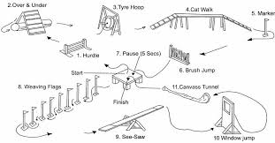dog agility courses