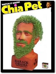 chia obama pet