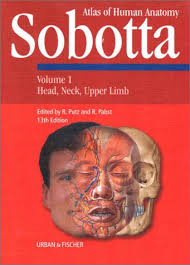 atlas sobotta