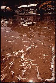 polluting water