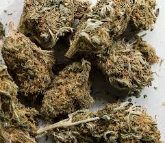 effects of marijuana