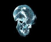 disco ball skull