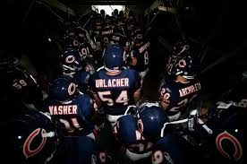 bears-tunnel.jpg